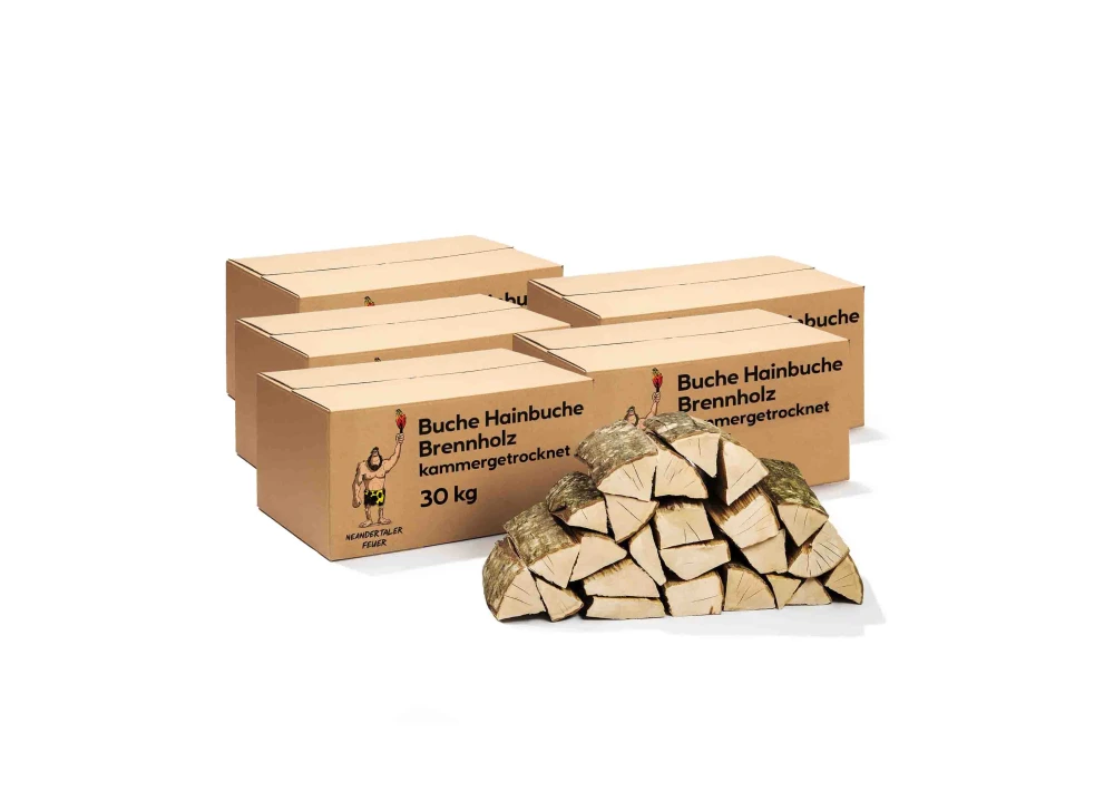 Brennholz Buche Hainbuche 150kg