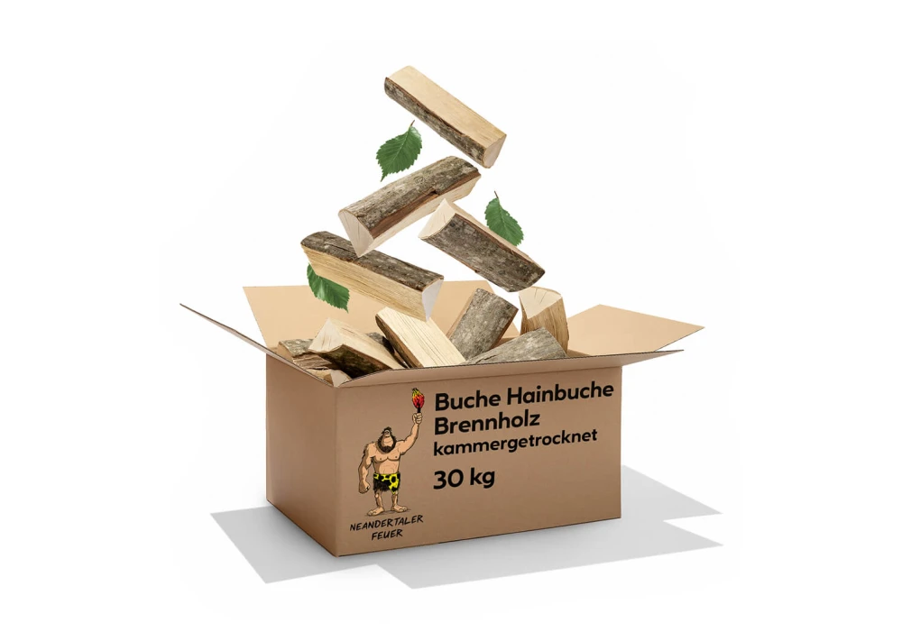 Brennholz Buche Hainbuche 150kg – Bild 2